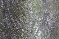 West Haddlesey fibreglass roof work